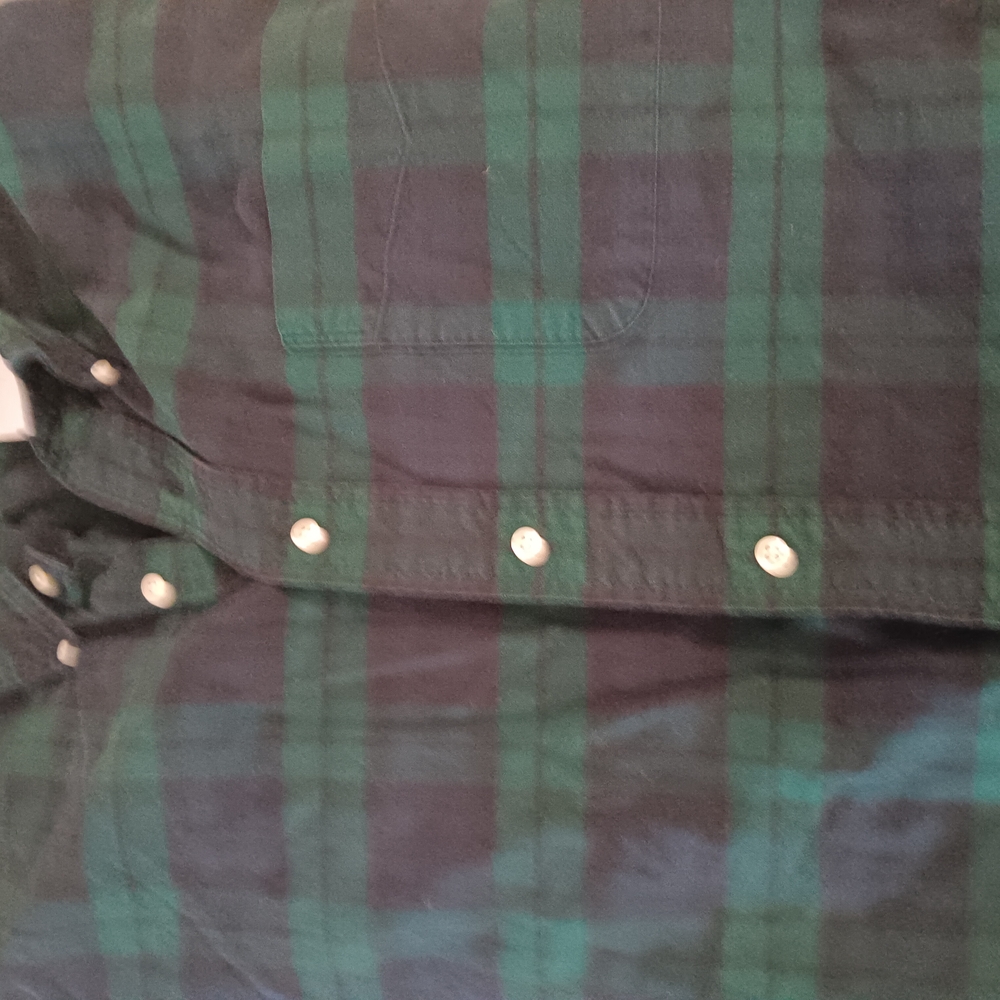 Green and Blue Plaid Ralph Lauren Polo Button-Up Shirt Large
